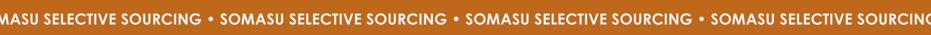 SomasuAsset 3